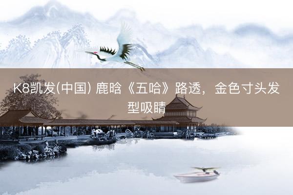 K8凯发(中国) 鹿晗《五哈》路透，金色寸头发型吸睛