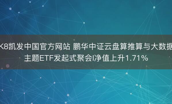 K8凯发中国官方网站 鹏华中证云盘算推算与大数据主题ETF发起式聚会I净值上升1.71%