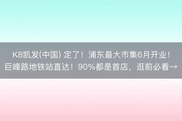 K8凯发(中国) 定了！浦东最大市集6月开业！巨峰路地铁站直达！90%都是首店，逛前必看→