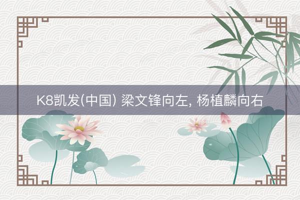 K8凯发(中国) 梁文锋向左， 杨植麟向右