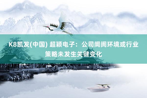 K8凯发(中国) 超颖电子：公司阛阓环境或行业策略未发生关键变化
