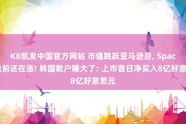 K8凯发中国官方网站 市值跳跃亚马逊后， SpaceX盘前还在涨! 韩国散户赚大了: 上市首日净买入8亿好意思元